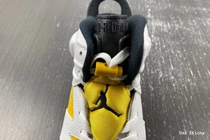 Ochre Classic 603  Yellow Jordan Retro 6 CT8529-170 0629